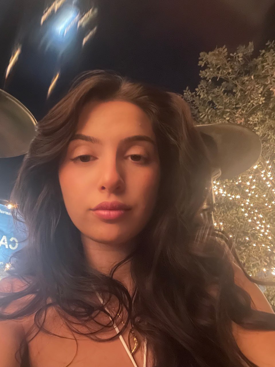 Nikki petite brunette image 3